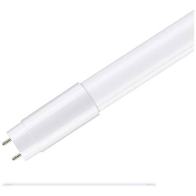Witte LED-buis met twee metalen pinnen aan één uiteinde, geschikt voor energiezuinige binnenverlichting.