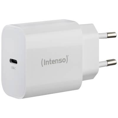 Een wit USB-C-oplaadapparaat van Intenso met twee ronde metalen contacten, geschikt voor Europese stopcontacten.
