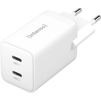 Witte Intenso wandlader met twee USB-C poorten en EU-twee-pins stekker