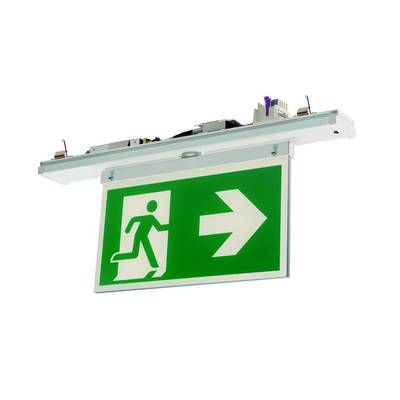 Groen nooduitgangsbord met een witte figuur die door een deur rent, met een pijl naar rechts.