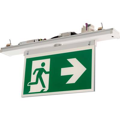 Groen nooduitgangsbord met een witte figuur die naar rechts rent naar een uitgang. Een grote witte pijl wijst de richting aan.