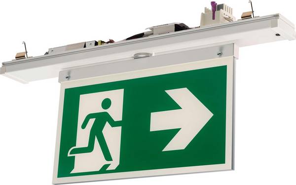 RIDI 1520197//373 Vluchtwegverlichting Energielabel D (A - G)  Vluchtweg
