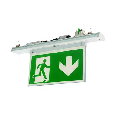 Nooduitgangsbord met een pictogram van een lopende persoon en een pijl naar beneden, op een groene achtergrond.