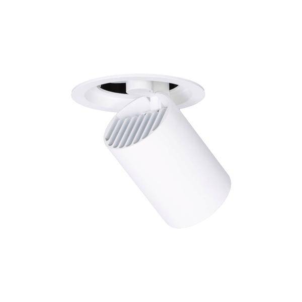 Witte, cilindrische plafondlamp met draaibare spotlicht, ingebouwd in een ronde bevestiging. Ideaal voor gerichte verlichting.