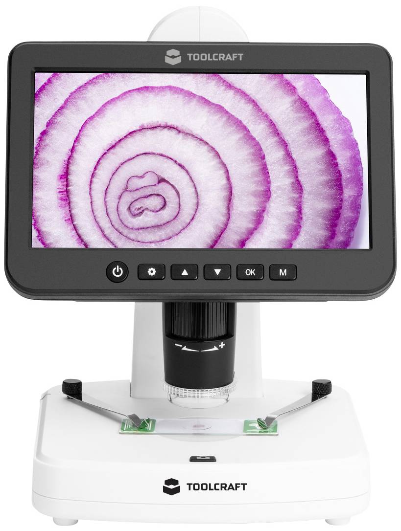 Een digitale microscoop toont een vergroot, gedetailleerd beeld van een ui. De concentrische ringen van de ui zijn duidelijk zichtbaar.