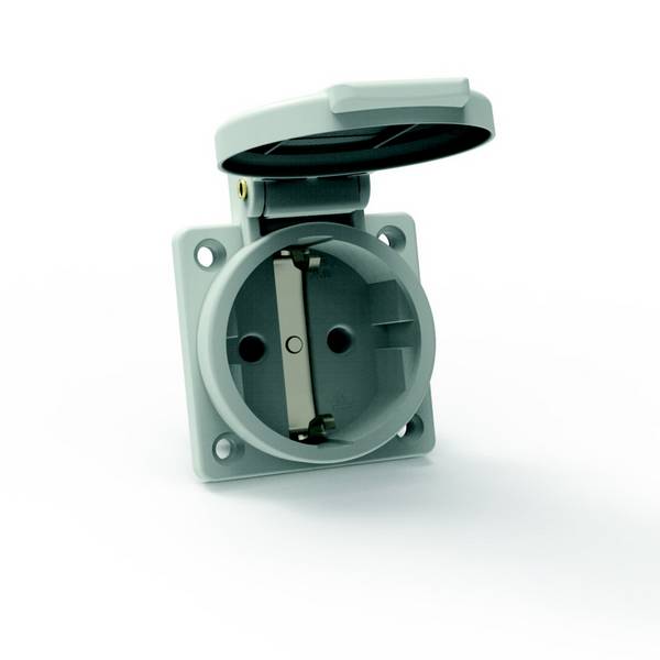 Bals Elektrotechnik 71100  Aanbouwcontactdoos  Met deksel IP54 Grijs