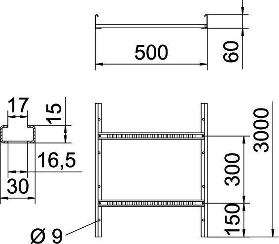 Technische tekening van een metalen rek met afmetingen: hoogte 3000 mm, breedte 500 mm, diepte 60 mm. Rekken geplaatst met tussenafstanden van 300 mm.
