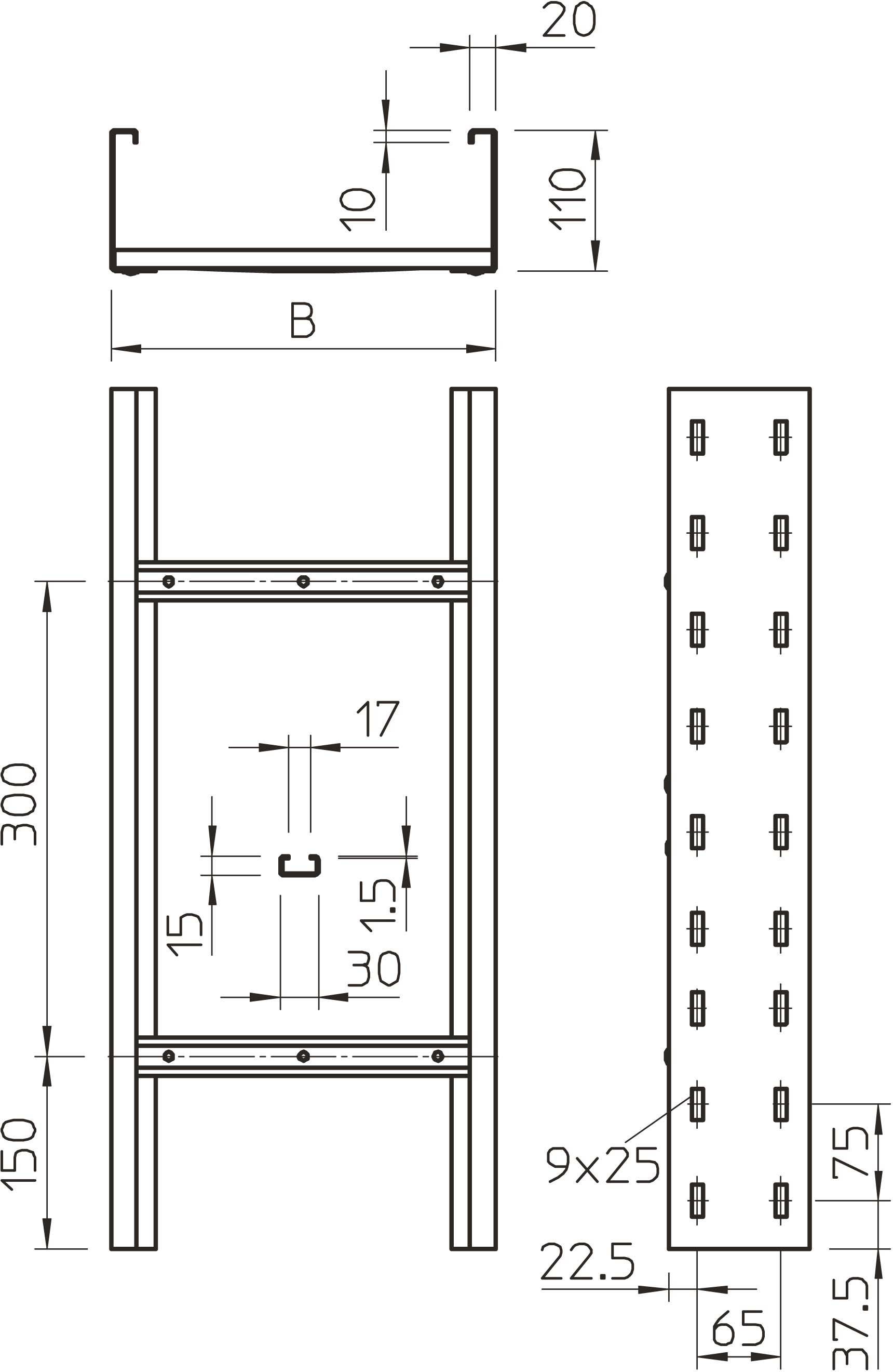 Technische tekening van een metalen rek met voor-, zij- en bovenaanzicht. Afmetingen: breedte (B), hoogte 300 mm, diepte 110 mm, gatengrootte en -afstanden gemarkeerd.