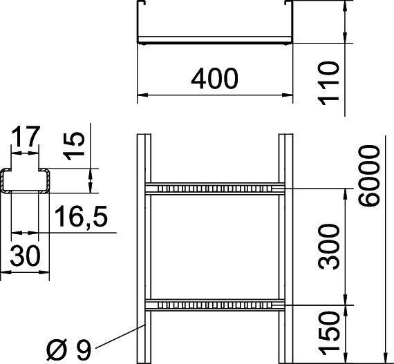Technische tekening van een frame met de afmetingen: Hoogte 6000 mm, Breedte 400 mm, Diepte 110 mm. Dwarsdoorsnede: Diameter 9 mm.