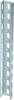 OBO Bettermann 6342340 U-steun (l x b x h) 3 m x 50.00 mm x 30.00 mm 1 stuk(s)