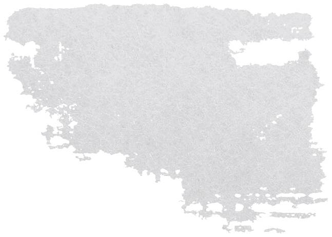 Grijs-witte textuur die eruitziet als handgemaakt papier, met een onregelmatige rand en een licht vezelig uiterlijk.