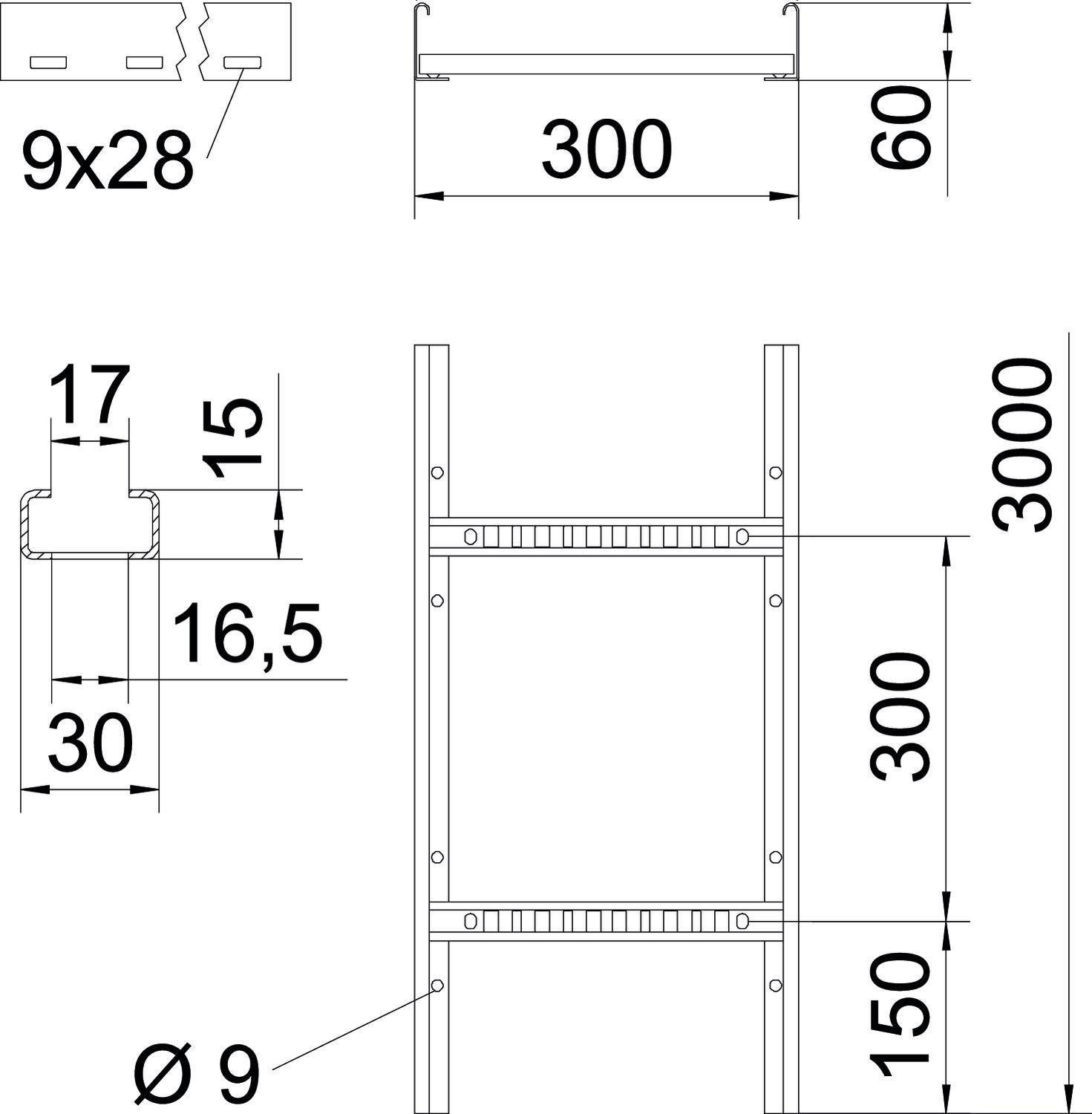 'Technische tekening van een metalen rek. Afmetingen: hoogte 3000 mm, breedte 300 mm, diepte 60 mm. Details tonen sterktes en tussenruimtes.'