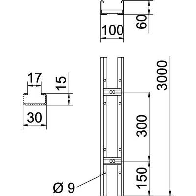 Technische tekening van een metaalprofiel met afmetingen: breedte 100 mm, hoogte 60 mm, totale hoogte 3000 mm. Gatdiameter 9 mm.