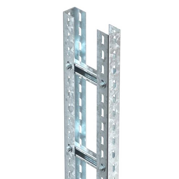 OBO Bettermann 6010004 Steigerladder    3 m