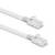 Witte Ethernet-kabels met RJ45-connectoren aan beide uiteinden op een witte achtergrond.