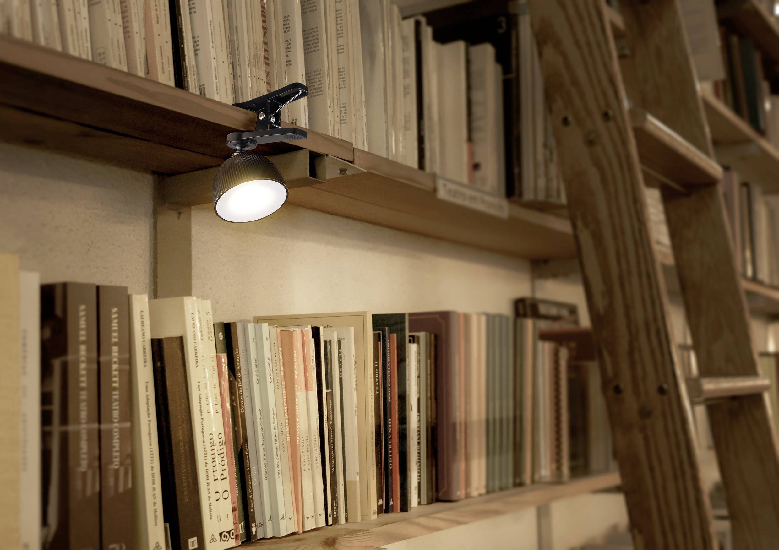 Boekenkast met een houten ladderrek, gevuld met verschillende boeken. Een leeslamp verlicht de boeken.