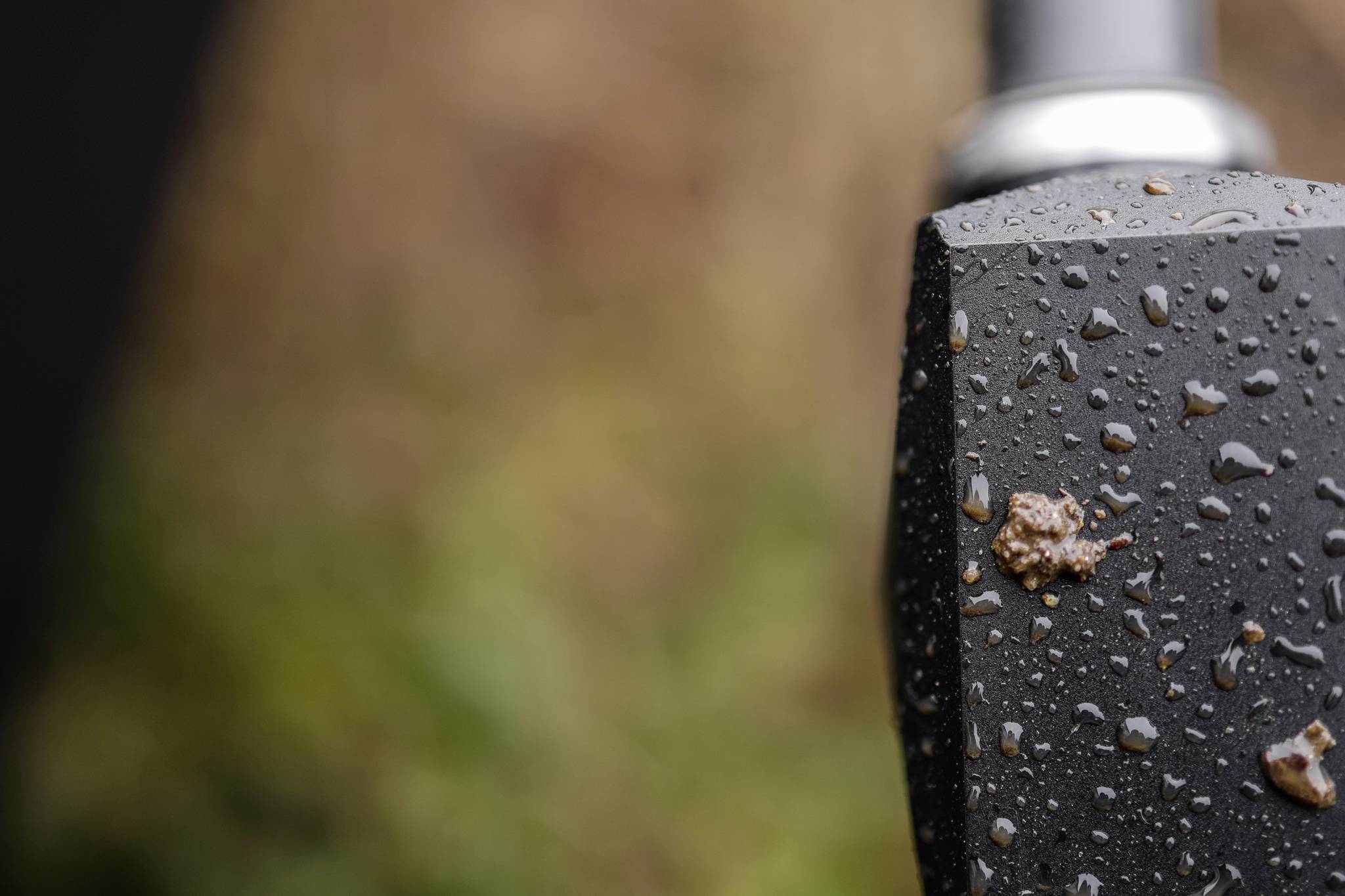 Nasser, zwarte hamerkop met regendruppels, close-up gefotografeerd. Onscherpe, groene achtergrond wijst op een buitenomgeving.