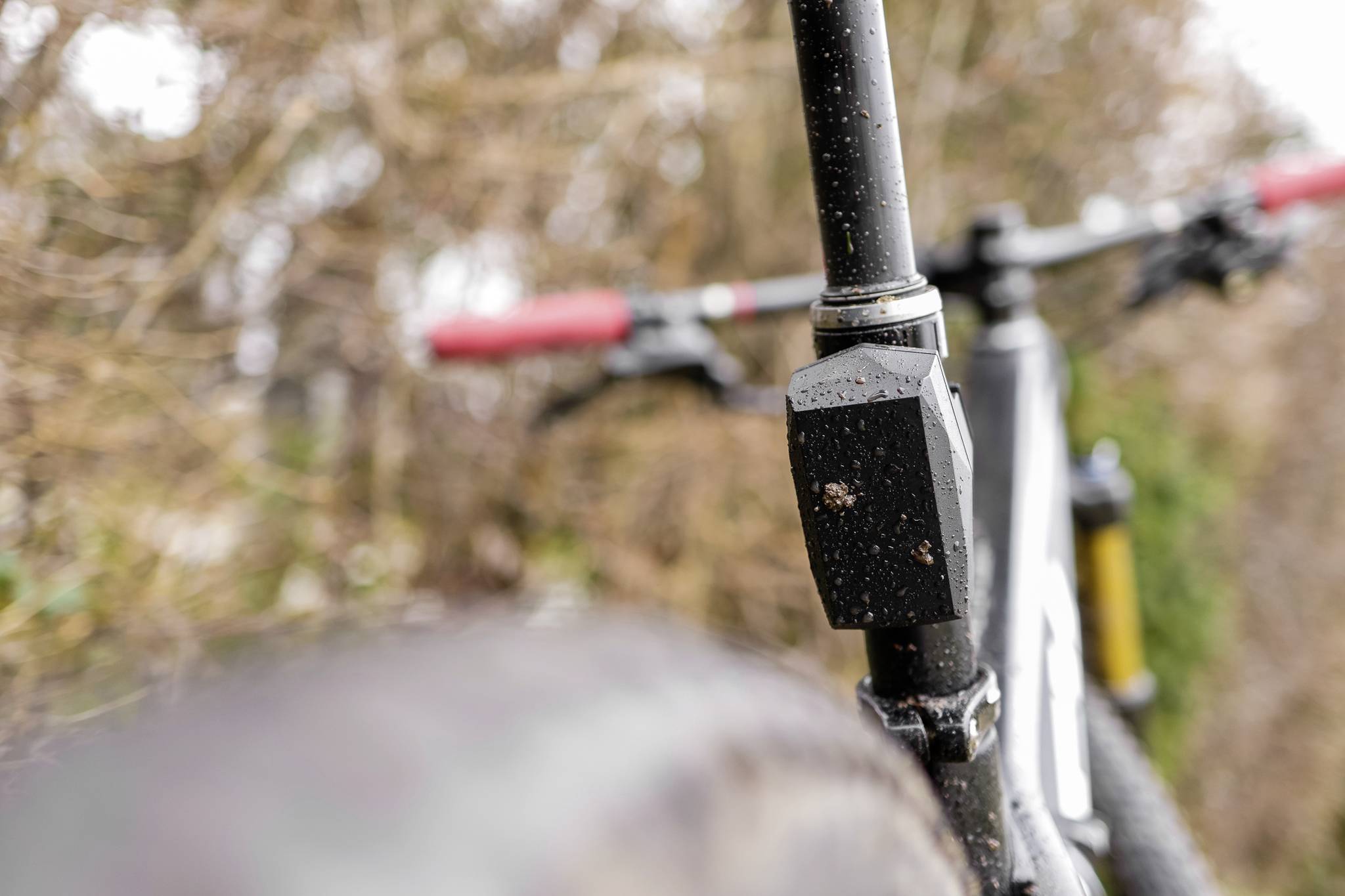 Close-up van een fiets met focus op het zadel en het stuur. Op de achtergrond zijn wazig bomen zichtbaar.