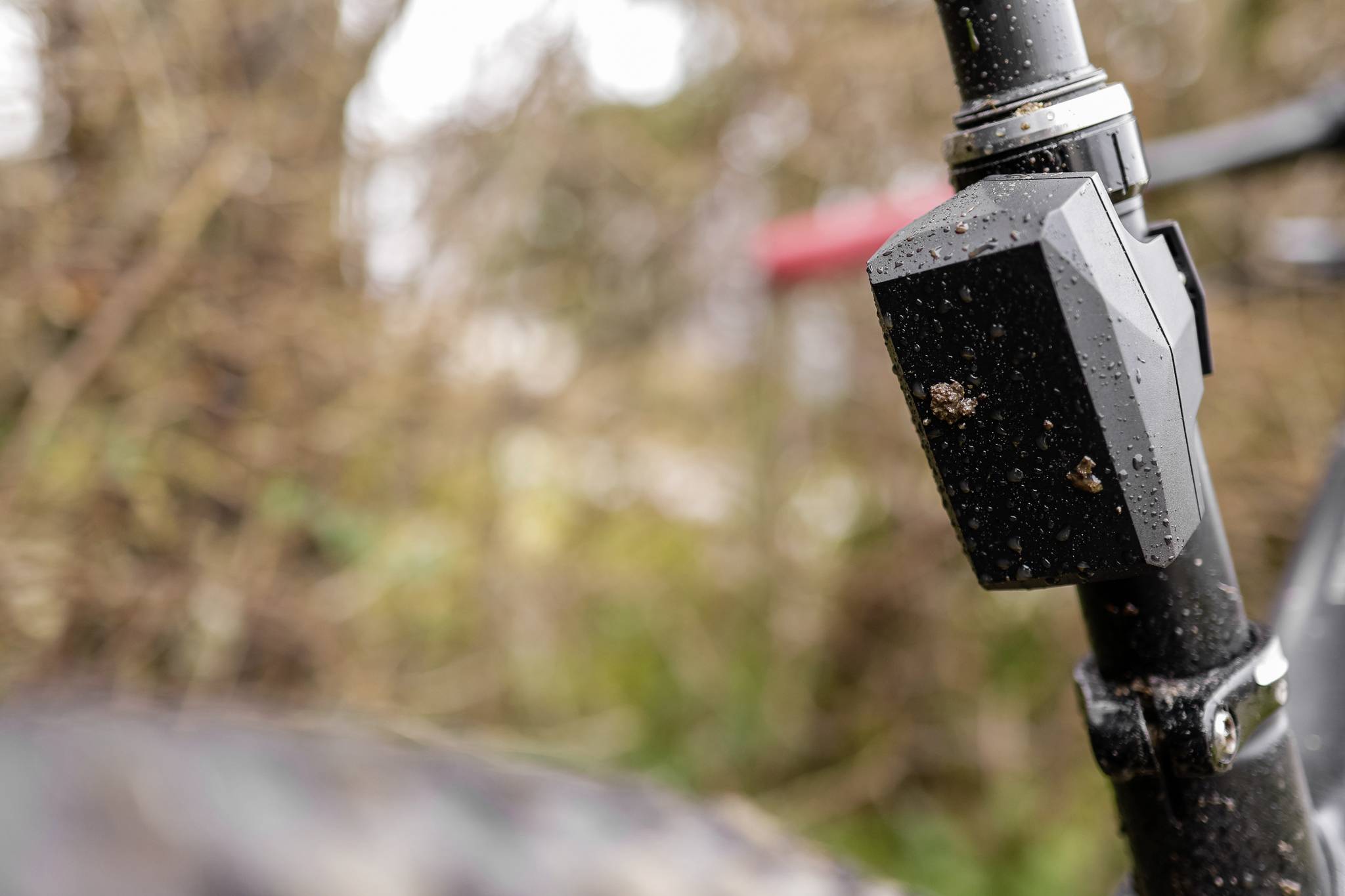 Close-up van een vuile fietsframe buiten, omgeven door onscherpe bladeren op de achtergrond.