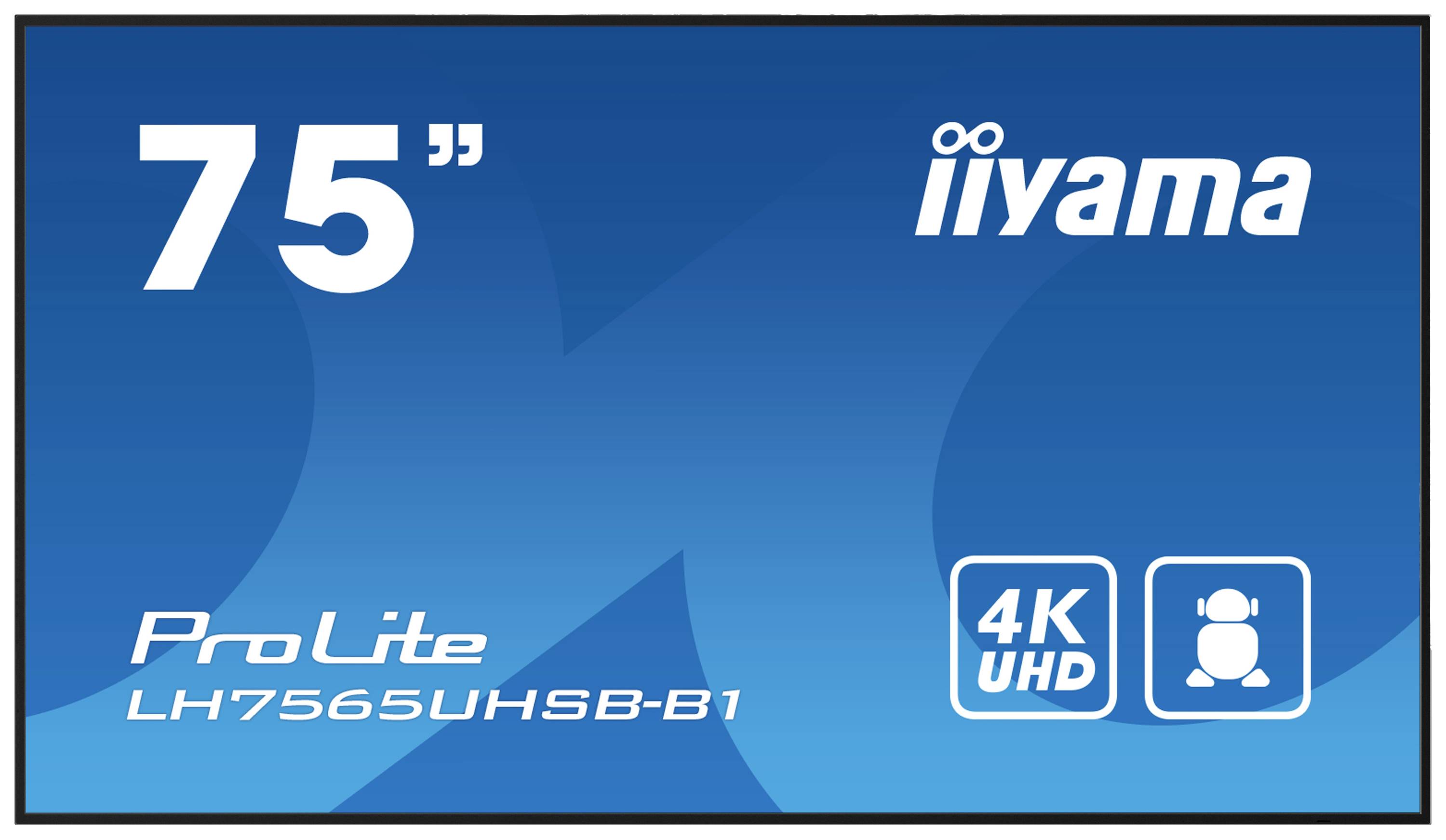 75-inch-monitor van iiyama met 4K-UHD-resolutie, model ProLite LH7565UHSB-B1, op blauwe achtergrond.