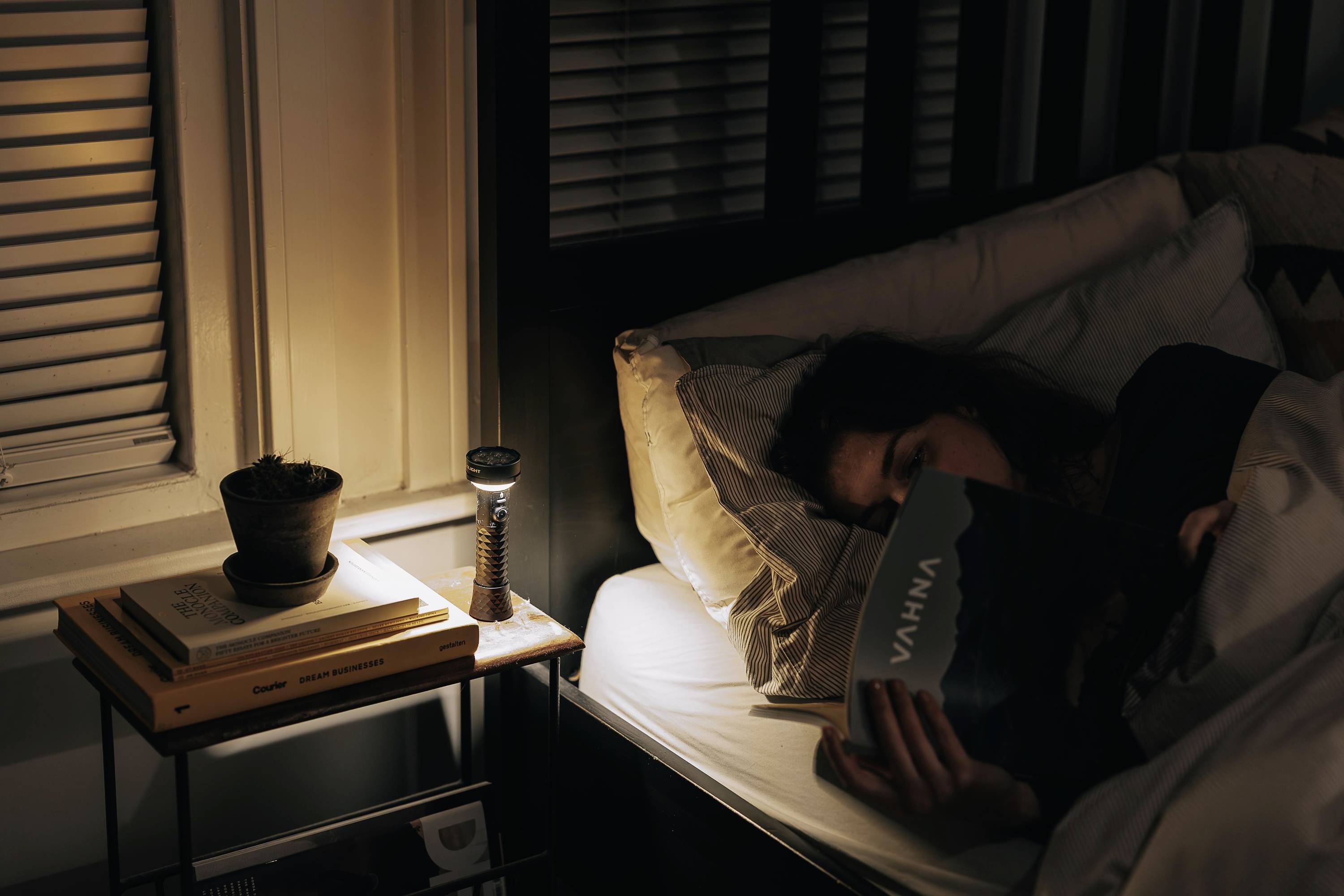 Een persoon ligt in bed en leest een boek. Een lamp verlicht het nachtkastje met een potplant en boeken.