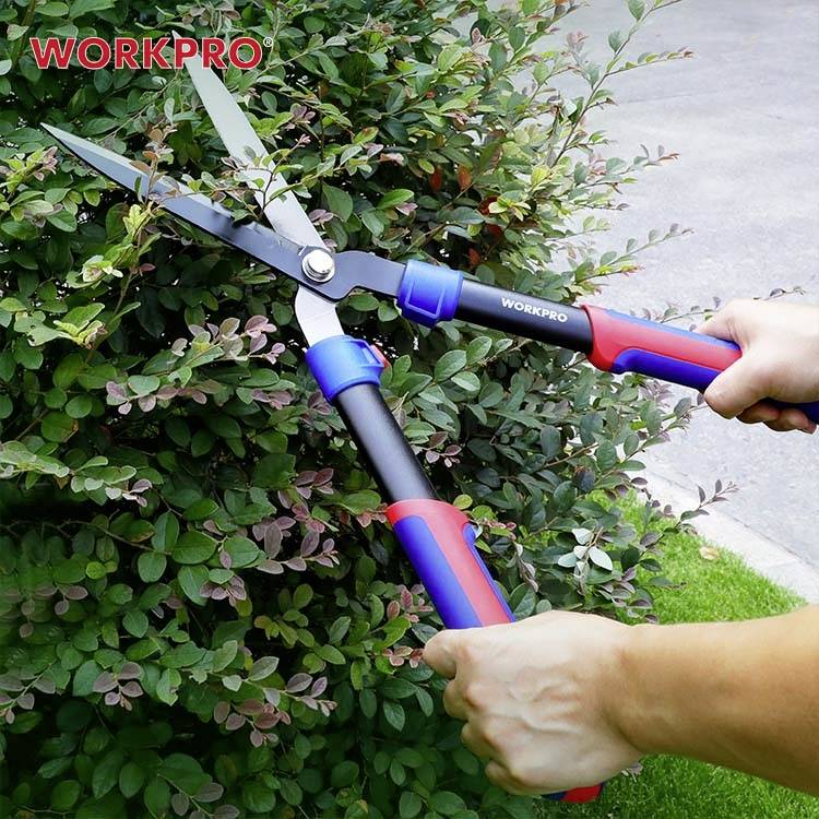 Een persoon knipt met een WORKPRO heggenschaar een struik. De schaar heeft rode en blauwe handgrepen. Het is zonnig weer.