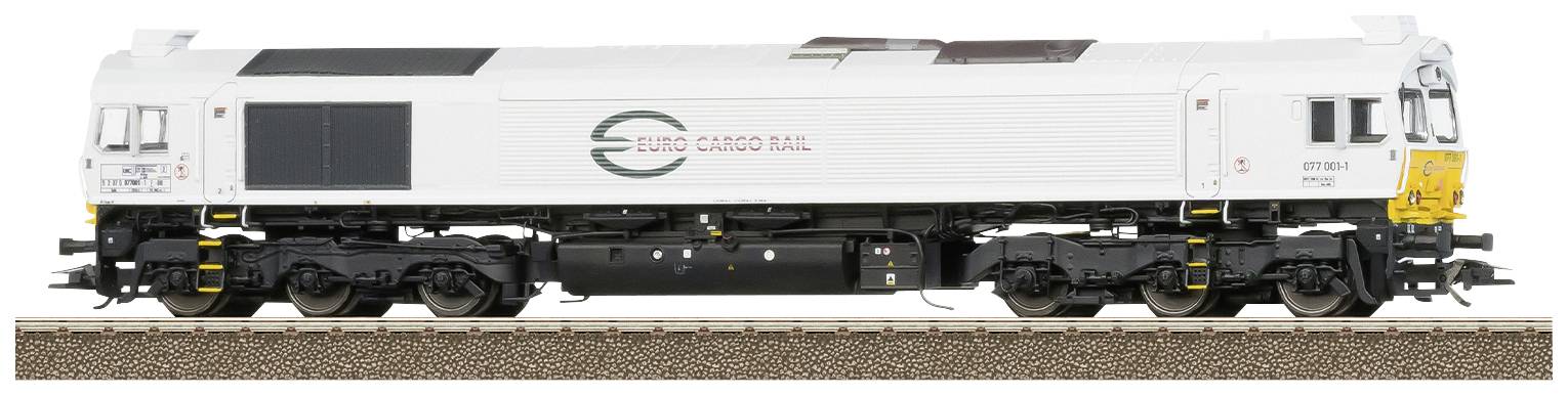 Een witte goederentrein met de opschrift 'Euro Cargo Rail' staat op de rails. De trein is lang en vertoont gedetailleerde, ingewikkelde aspecten.