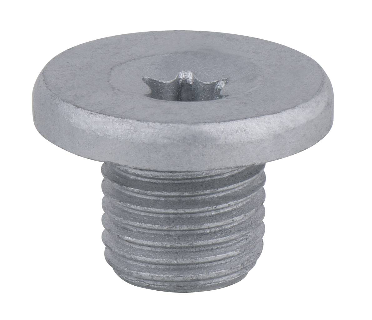 Close-up van een metalen schroef met een platte kop en een stervormige aandrijving, geschikt voor industriële toepassingen of machinebouw.