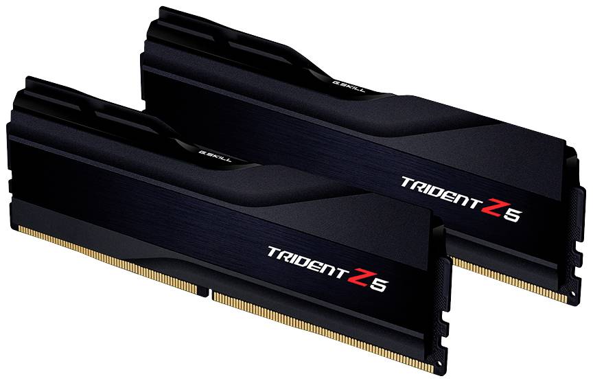 Twee zwarte RAM-modules van het merk 'Trident Z5', parallel gerangschikt, met gouden contactstrepen onderaan.