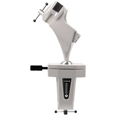 Bankschroef met flexibele nek en antisliplaag, geschikt voor nauwkeurige vastzetsituaties in werkplaatsen of laboratoria.