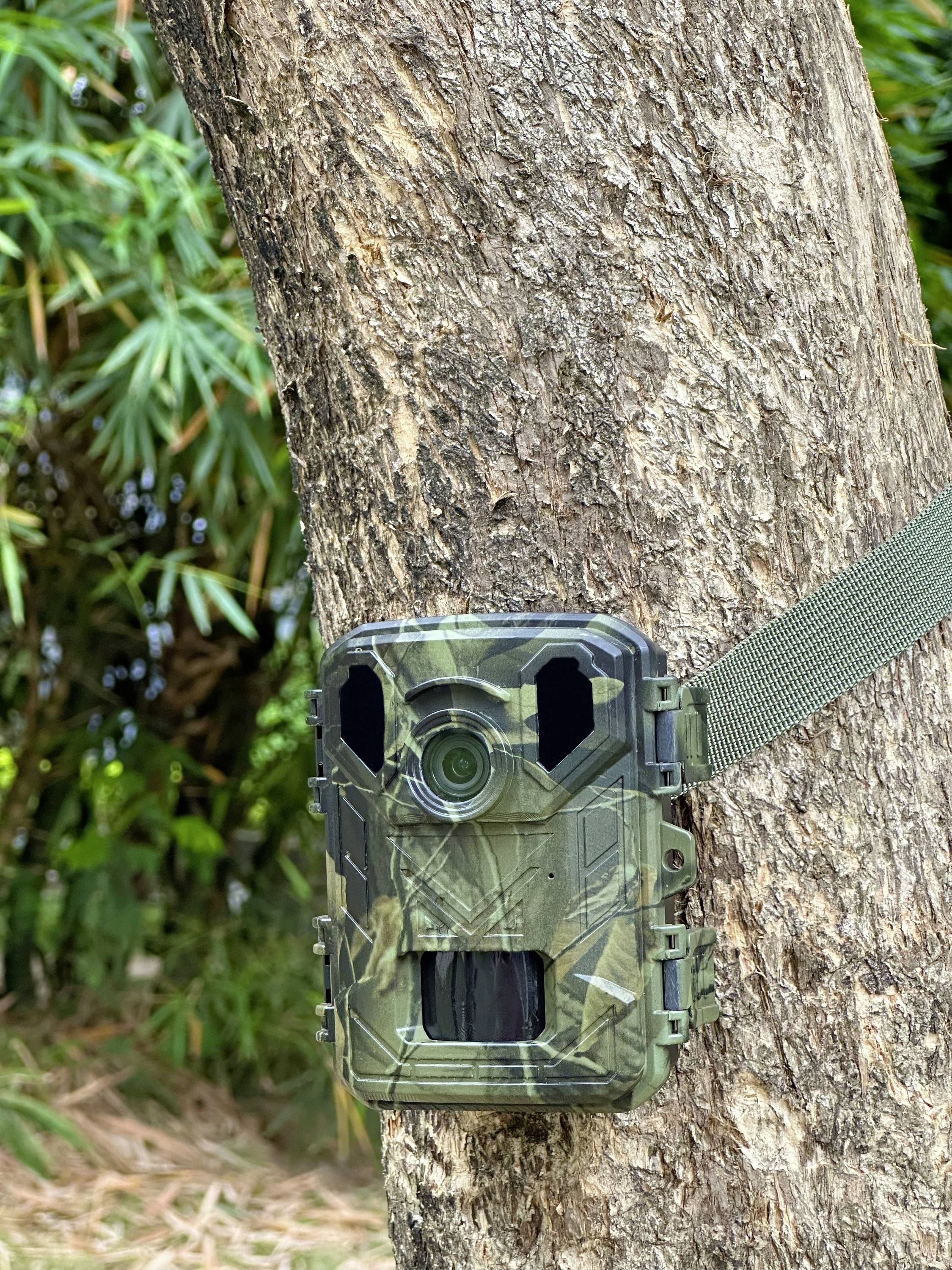 Een wildcamera met camouflagepatroon is bevestigd aan een boom, omringd door dicht groen gebladerte op de achtergrond.