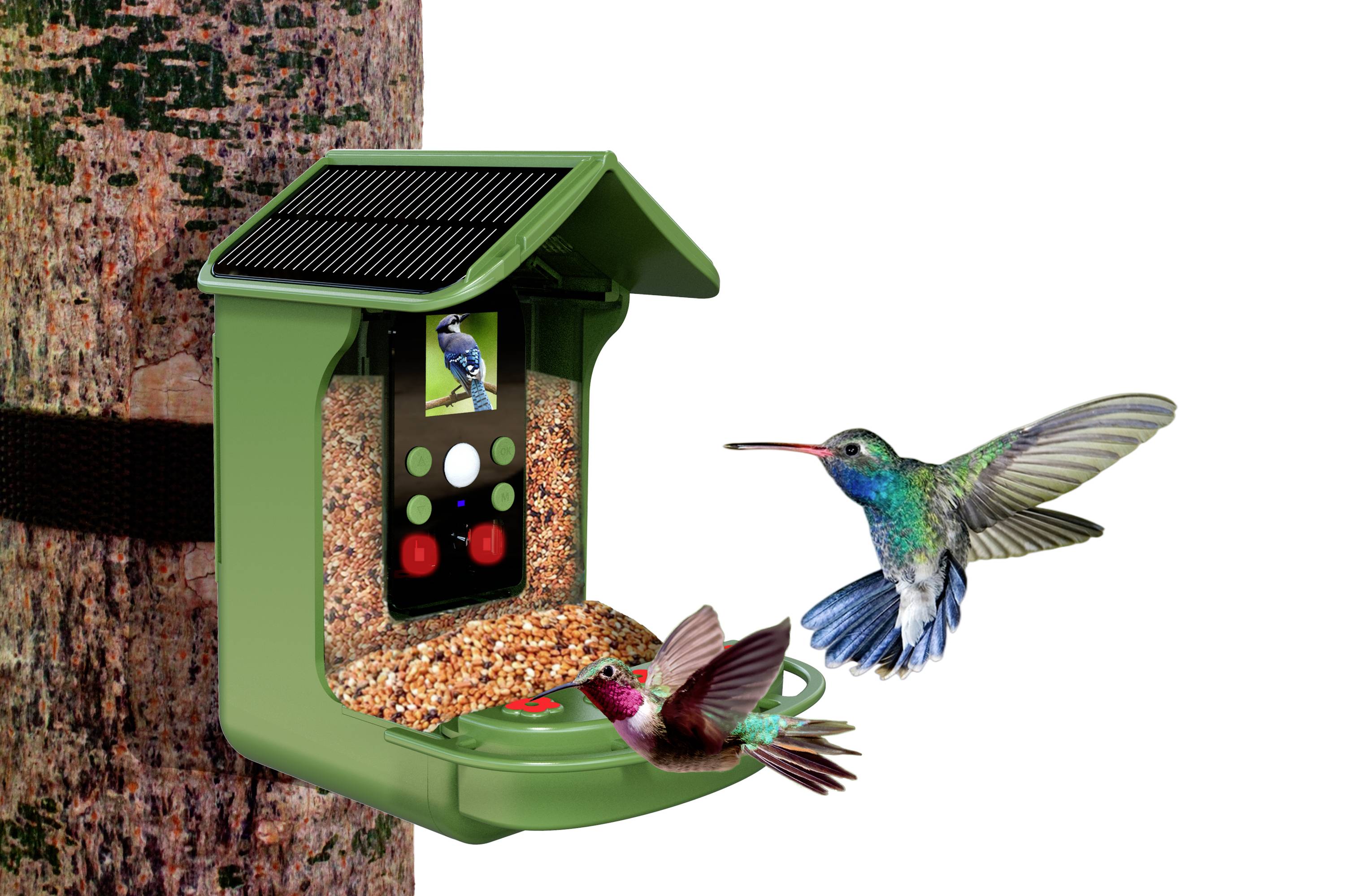 Een groene vogelvoederautomaat met zonnepaneel wordt aan een boom bevestigd. Twee kolibries naderen het voedsel.