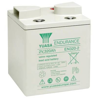 Batterij met opschrift 'YUASA Endurance 2V, 320Ah EN320-2'. Ventielgeregelde loodaccu, symbolen voor gebruik en onderhoud weergegeven.