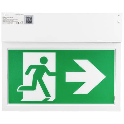 Groen nooduitgangsbord met witte pijl naar rechts en een lopende persoon; wijst de vluchtroute aan.