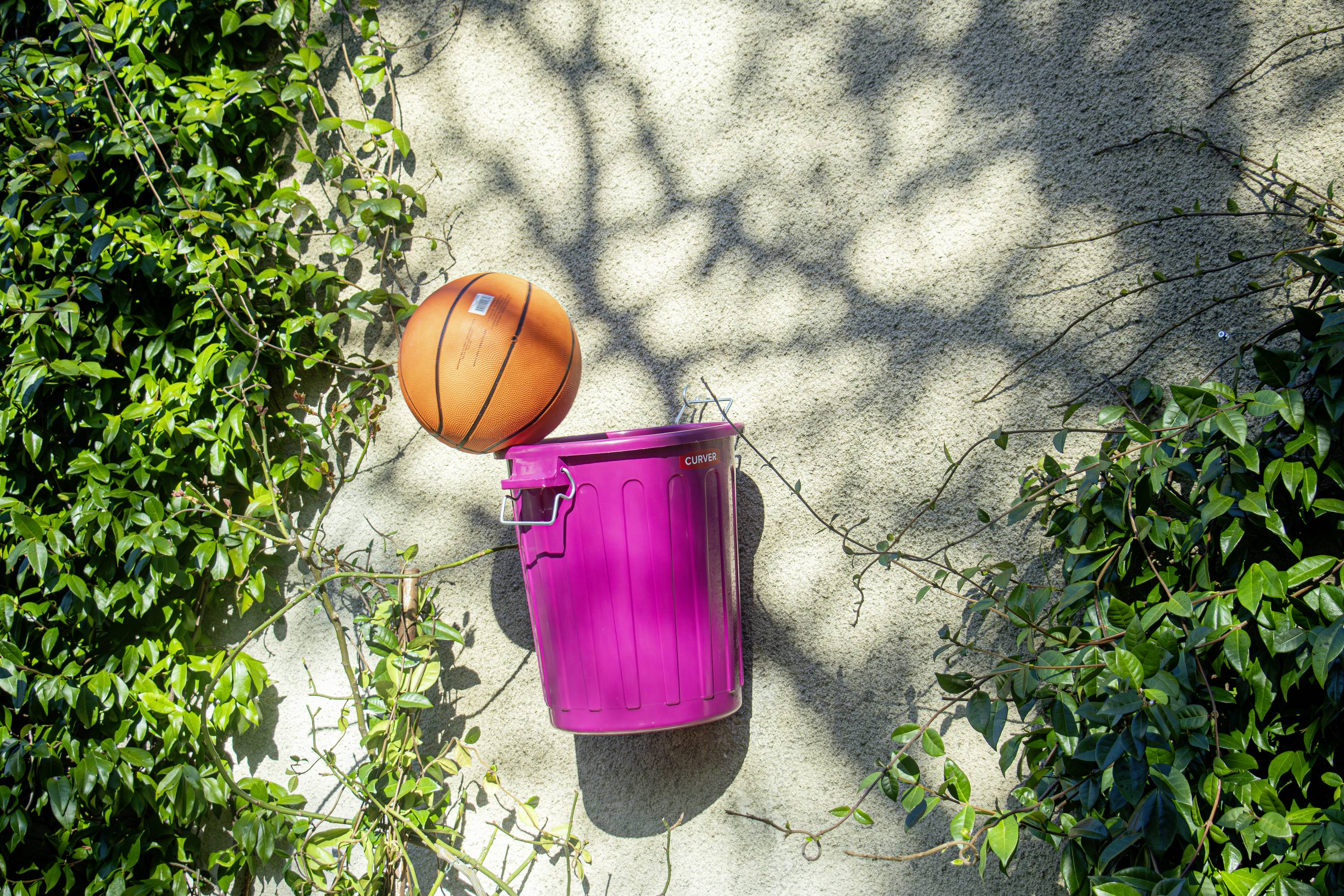 Een basketbal steekt in een roze prullenbak die aan een muur hangt. Omgeven door groene bladeren en beschaduwd in het zonlicht.