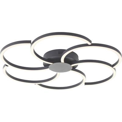 Plafondlamp met ringvormig design in zwart en wit. Hij bestaat uit vier overlappende, verlichte ringen.