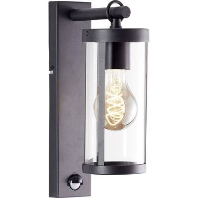 Zwarte buitenwandlamp met heldere glazen kap en zichtbare gloeilamp. Modern, industrieel ontwerp voor buitenverlichting.