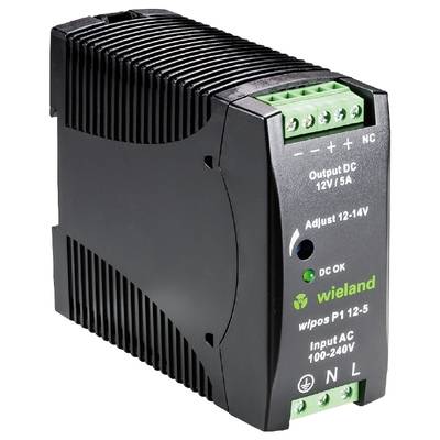 Een zwart elektrisch voedingsapparaat dat 12V en 5A gelijkstroom levert. Aansluitingen bovenaan, merk Wieland.