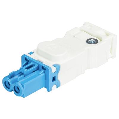 Een wit-blauwe elektrische stekkerverbinding met twee aansluitingen en een schroef voor bevestiging.