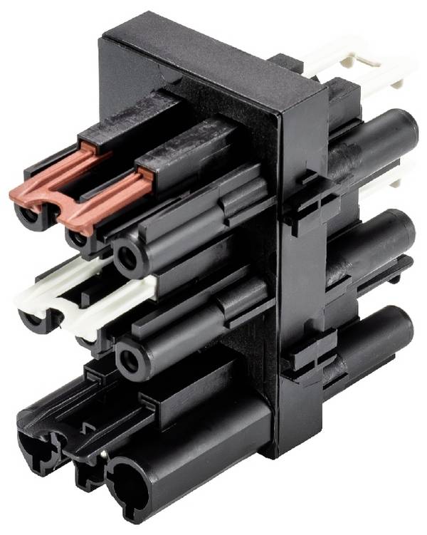 Wieland Electric 92.030.0053.1 Verdeler