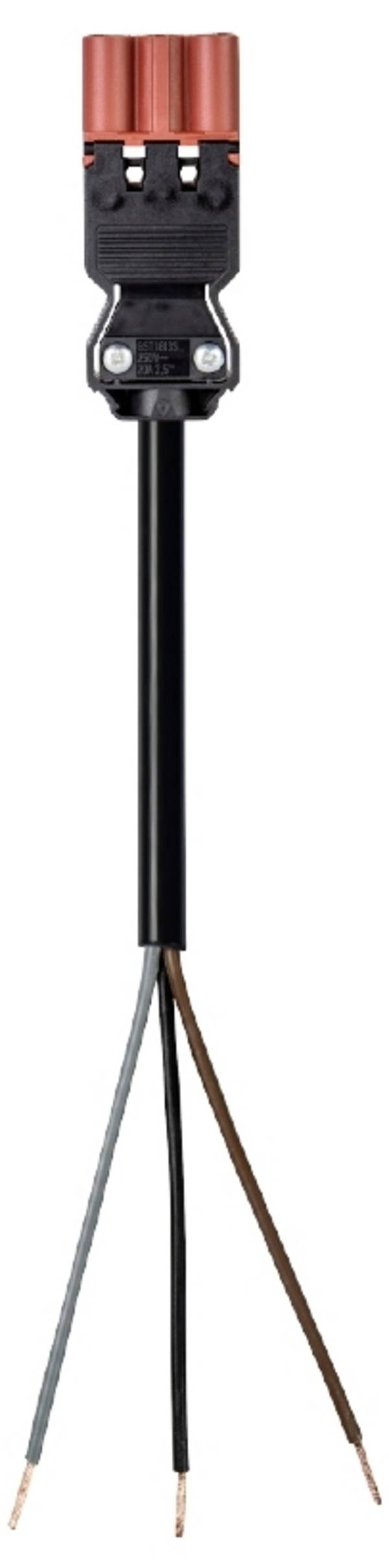 Wieland Electric 92.232.4004.4 Aansluitkabel Zwart 4 m