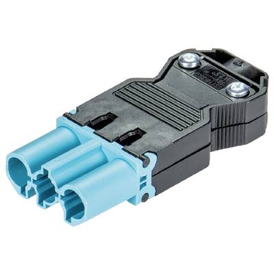 Een elektrische stekker met twee blauwe aansluitbussen. Hij heeft een rechthoekige, zwarte behuizing met twee zichtbare schroeven.