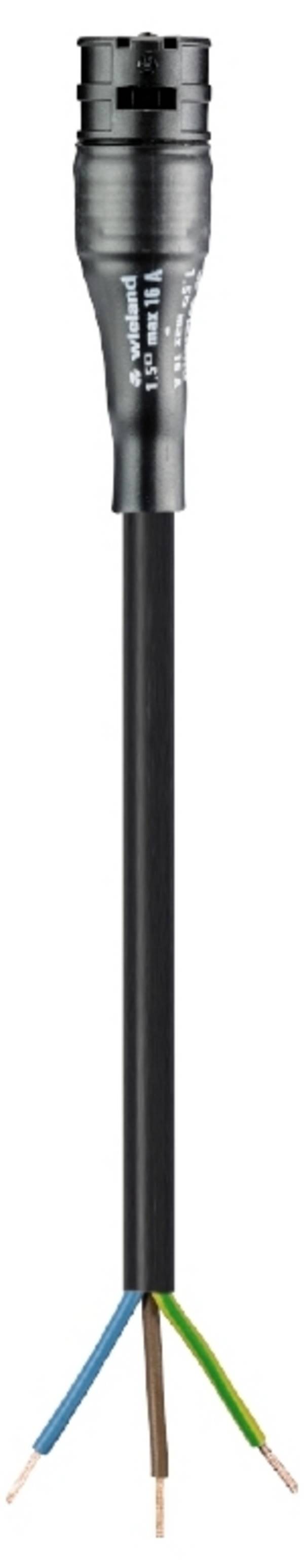 Wieland Electric 96.233.3033.1 Aansluitkabel Zwart 3 m