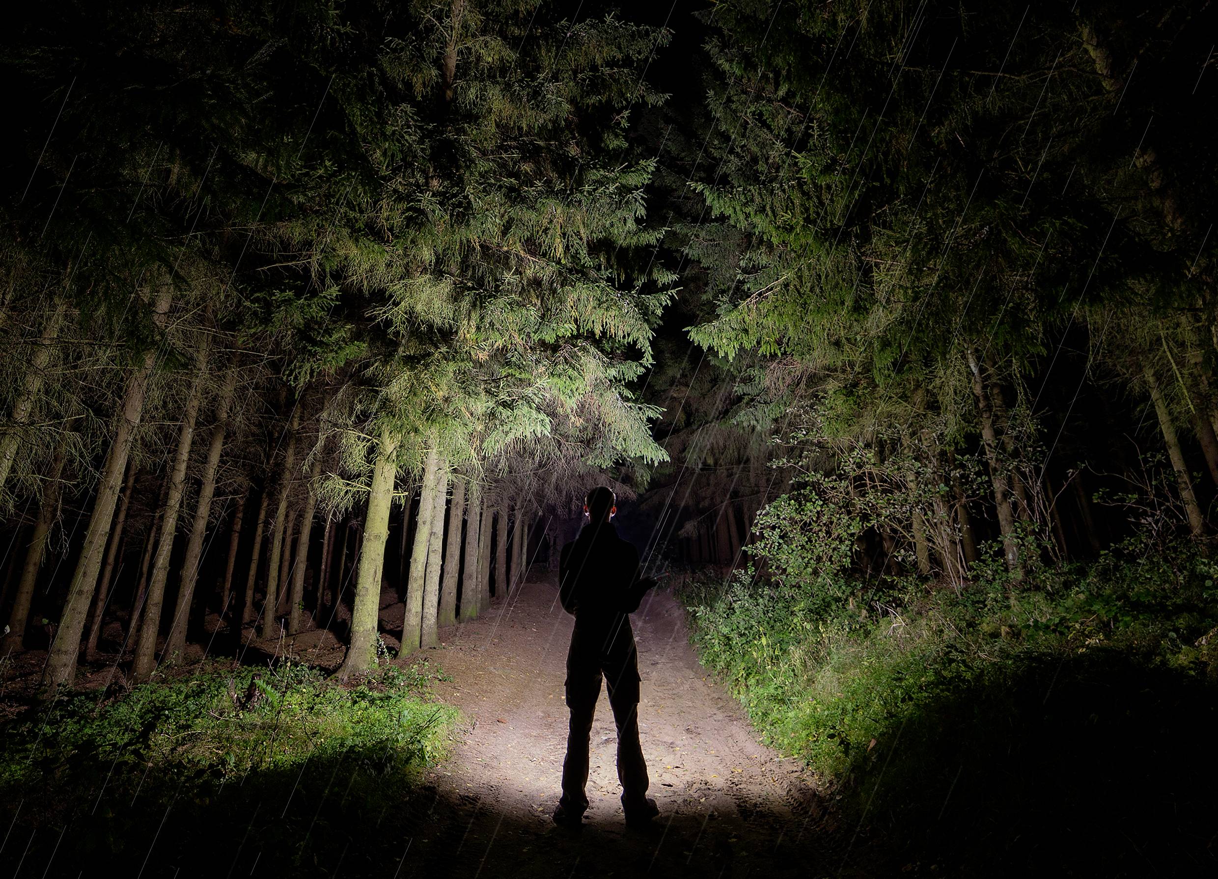 Een persoon staat in een donker bos op een verlicht pad, omringd door hoge bomen. Lichtstralen breken door het dichte bladerdak.