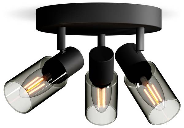Philips Palms 8720169299351 Plafondspot  E14  75 W Zwart