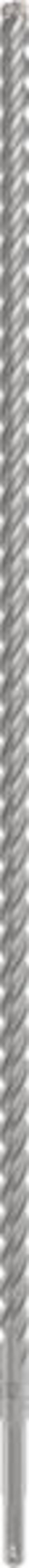 Bosch Accessories 2608836620 2608836620 Wolfraamcarbide Hamerboor 12 mm Gezamenlijke lengte 610 mm SDS-Plus 1 stuk(s)