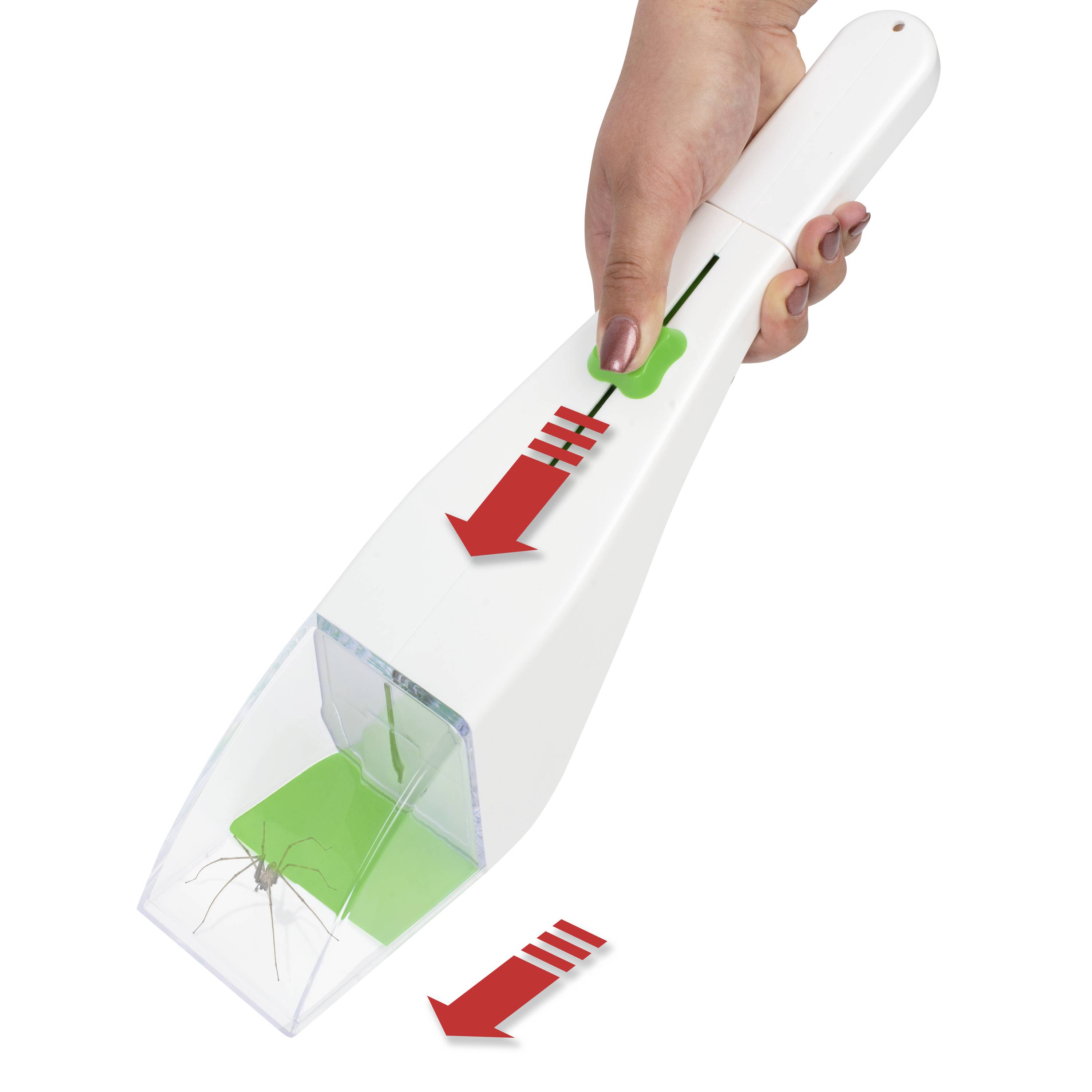 Een hand houdt een apparaat vast voor het vangen van insecten. Een spinachtige is opgesloten in een transparante container. Rode pijlen geven de bedieningsrichting aan.