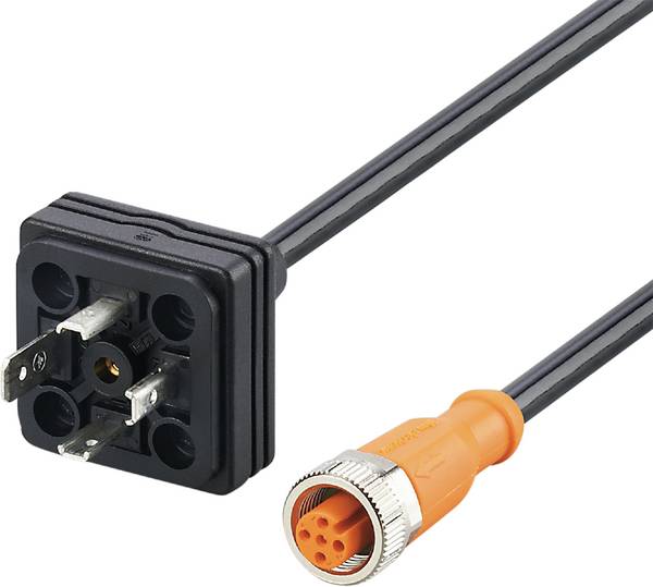 ifm Electronic E30436 E30436 Klepstekker met aangegoten kabel   Inhoud: 1 stuk(s)