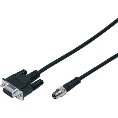 Een VGA-stekker en een PS/2-stekker, verbonden door een kabel. De VGA-stekker is vierkant met 15 pinnen, de PS/2-stekker rond met 6 pinnen.