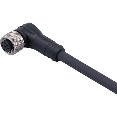 Een zwart, haaks kabel met een zilveren stekker.